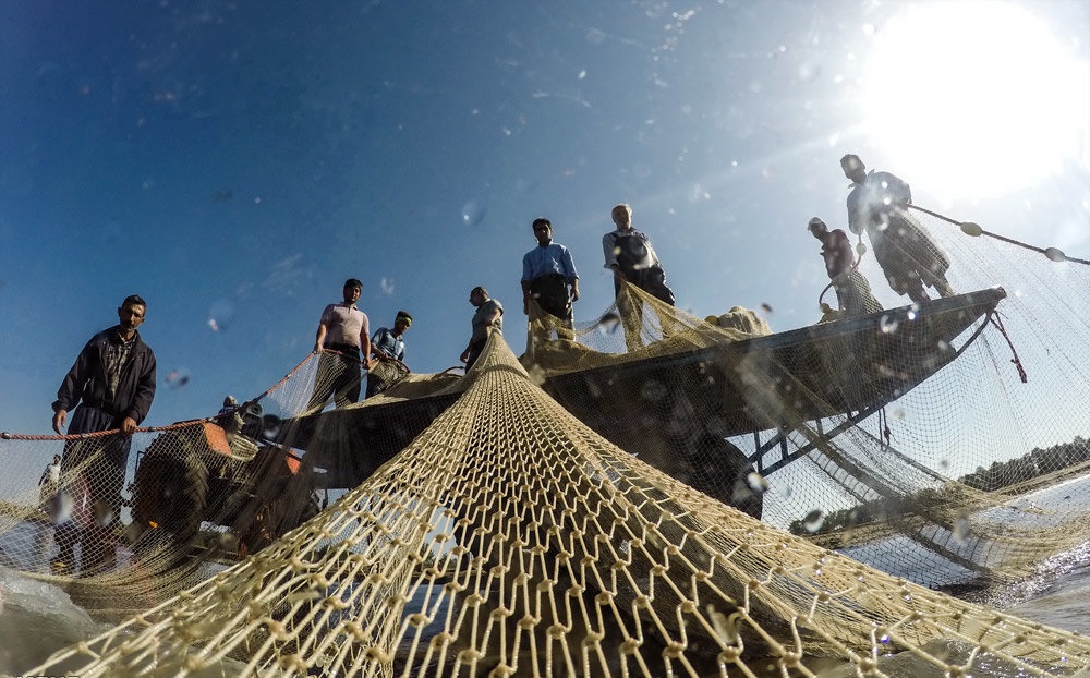 شناورهای صید ترال به نفع سازمان کاشف ضبط می‌شود