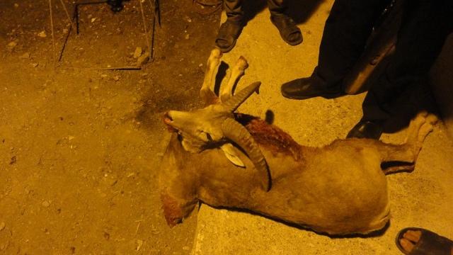 شکارچی با ۸۰ کیلو گوشت شکار غیر مجاز دستگیر شد