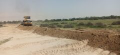 رفع تصرف ۱۵ هکتار از اراضی ملی در شهرستان پارسیان